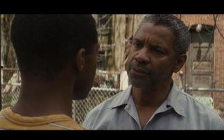 藩篱演员表,实力派明星齐聚一堂，演绎感人至深的家庭故事