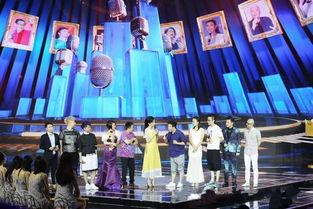 娱乐回声嘹亮,盘点热门话题与现象背后的声音