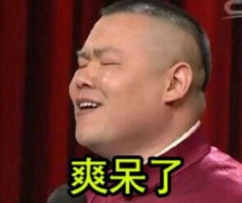 搞笑岳云鹏表情包