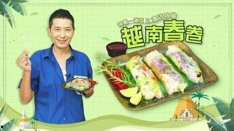 春卷明星,闪耀舞台的璀璨新星