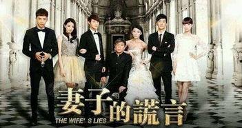 电视剧老公的谎言演员表,揭秘演员阵容,共赴情感漩涡之旅